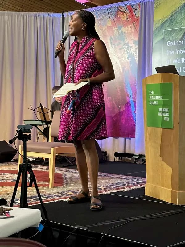 Presentation at The Wellbeing Summit planning session in Madrid, Spain